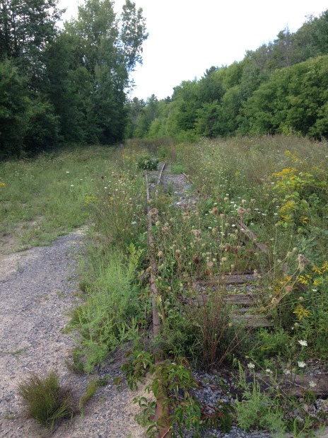 2016-08-23 16.12.39.jpg