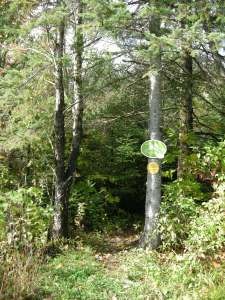 La signalisation sur le sentier des Pommiers dans le secteur Cascades.