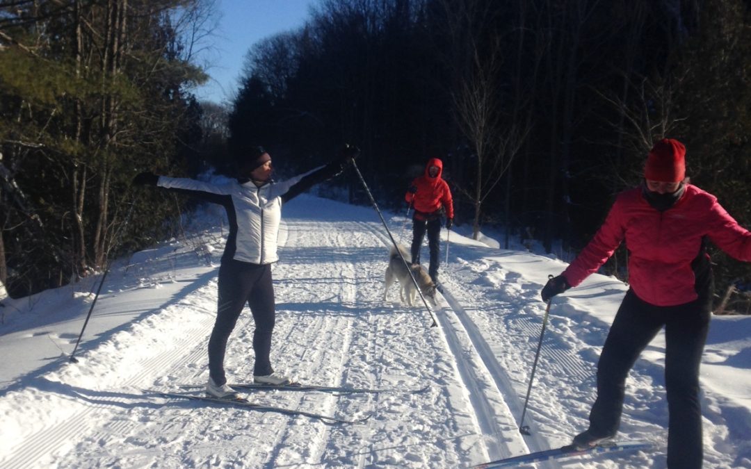 Time Again to Get Ready for Winter along the Rail Corridor – a Call for Volunteers!